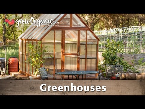The Beginner&#039;s Guide to Greenhouses