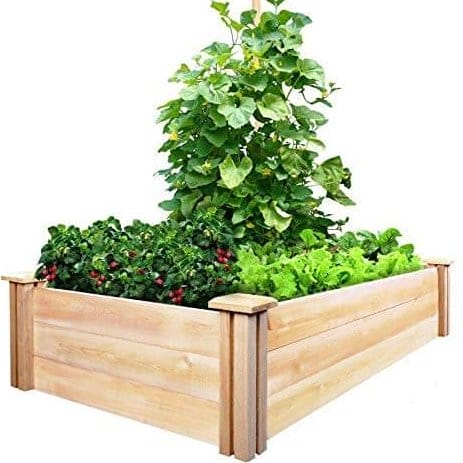 Raised Garden Bed 