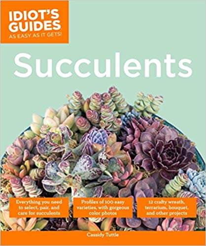 Idiot's Guide to Succulents