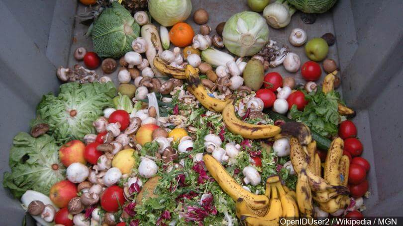 composting food waste