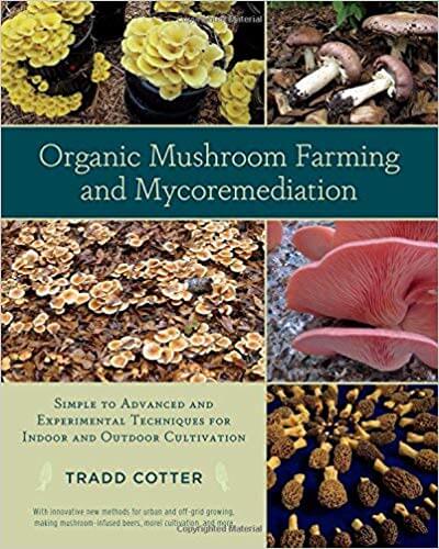 organic mushroom farming