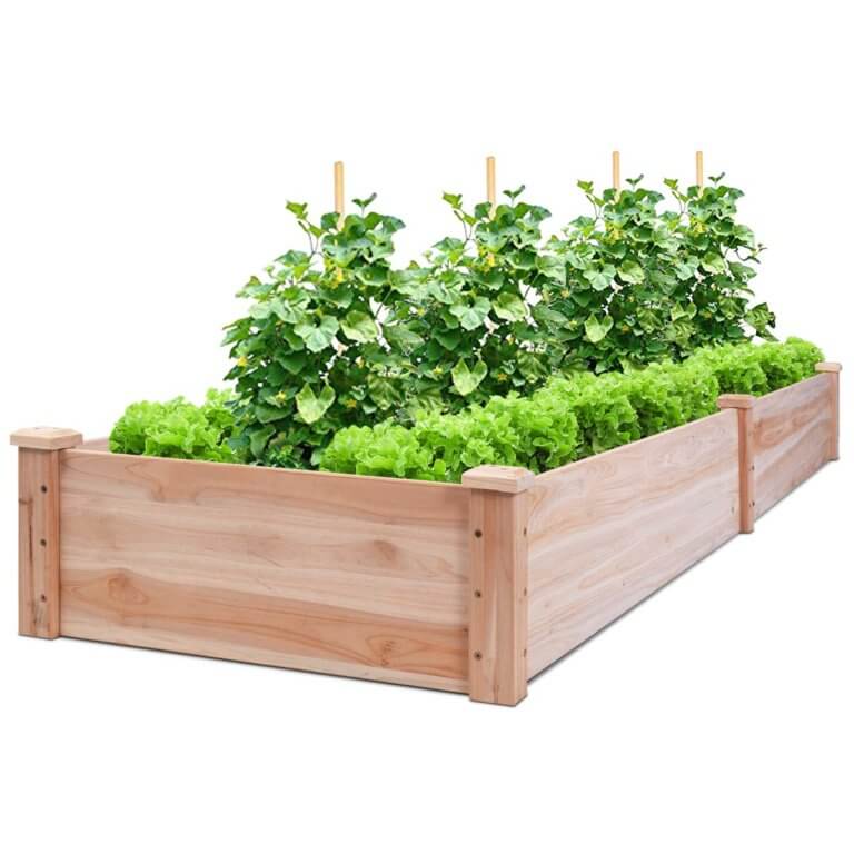 20 Best Raised Garden Beds for all Plants 2020 - The Gardening Dad