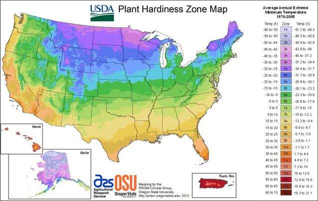hardiness zone map for pruning 