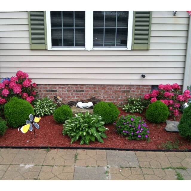 plants near house