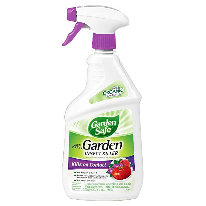 10 Best Insecticides For Your Vegetable Garden The Gardening Dad