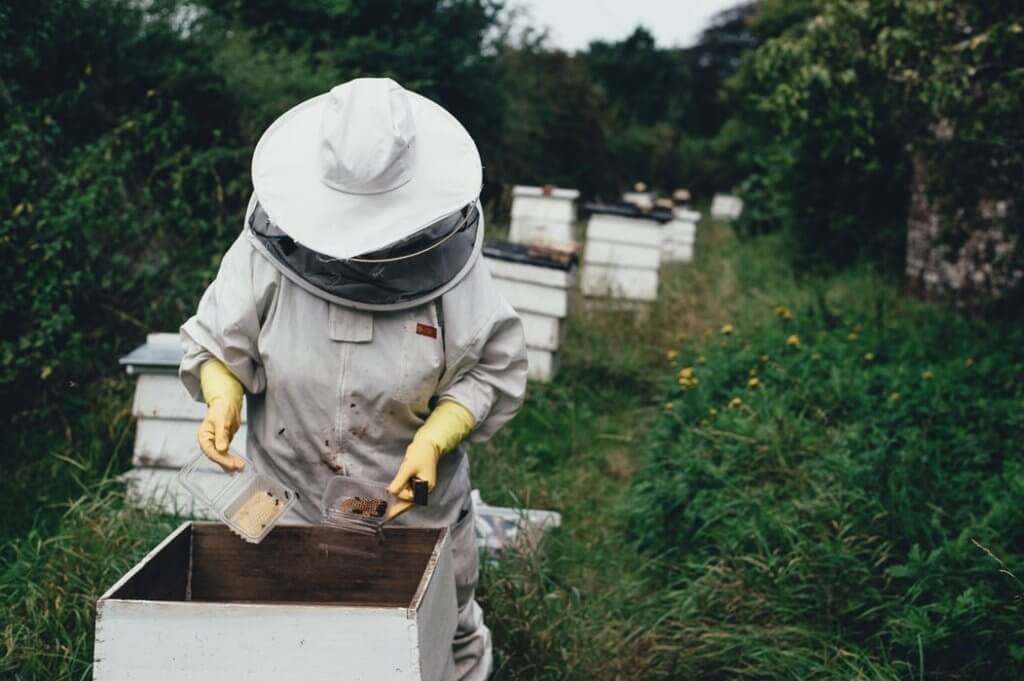 Bee Protective Clothing