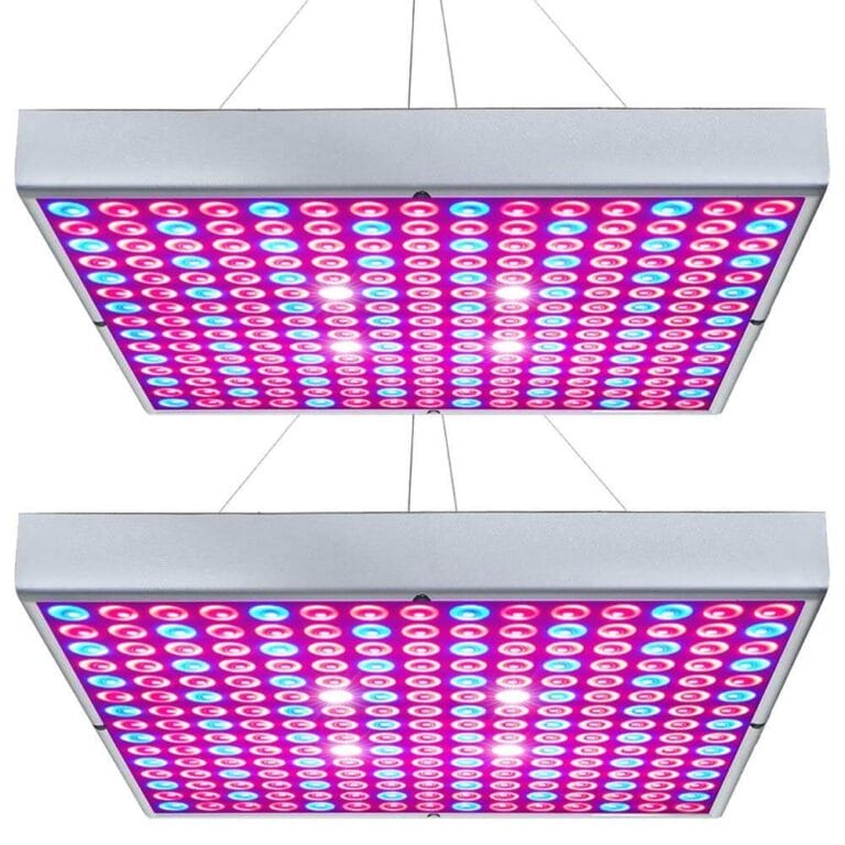 11 Best Place To Buy Grow Lights The Gardening Dad