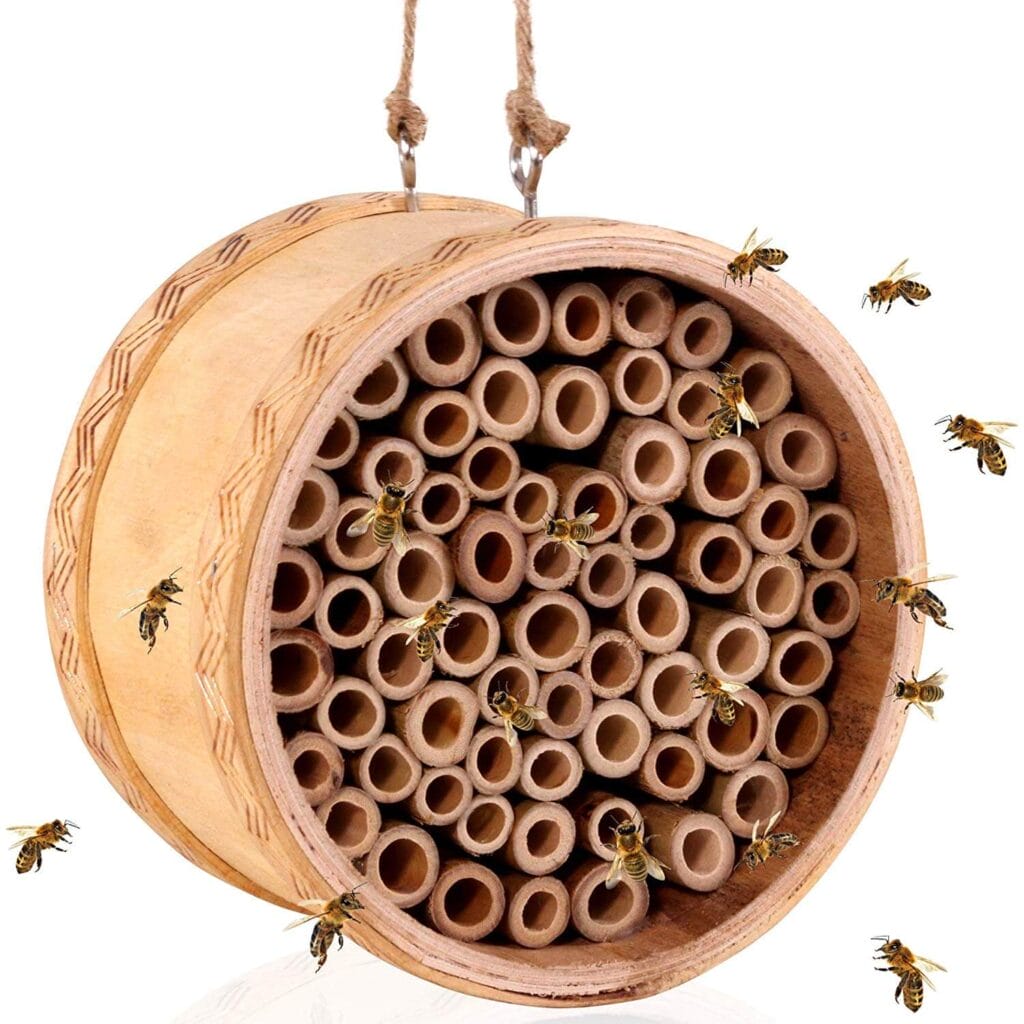 Mason Bee House