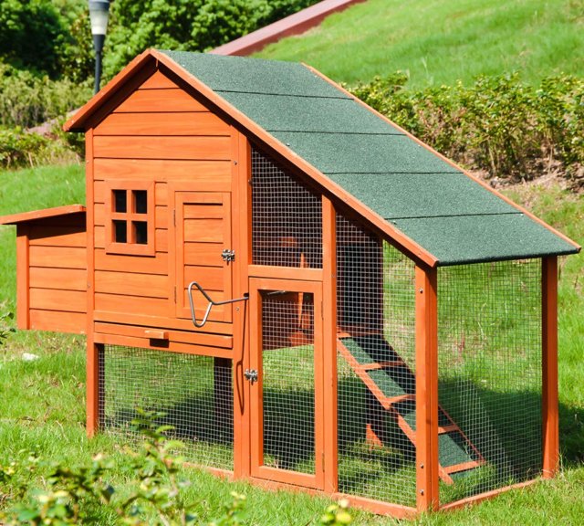 10 Best Chicken Coops 2019 - The Gardening Dad