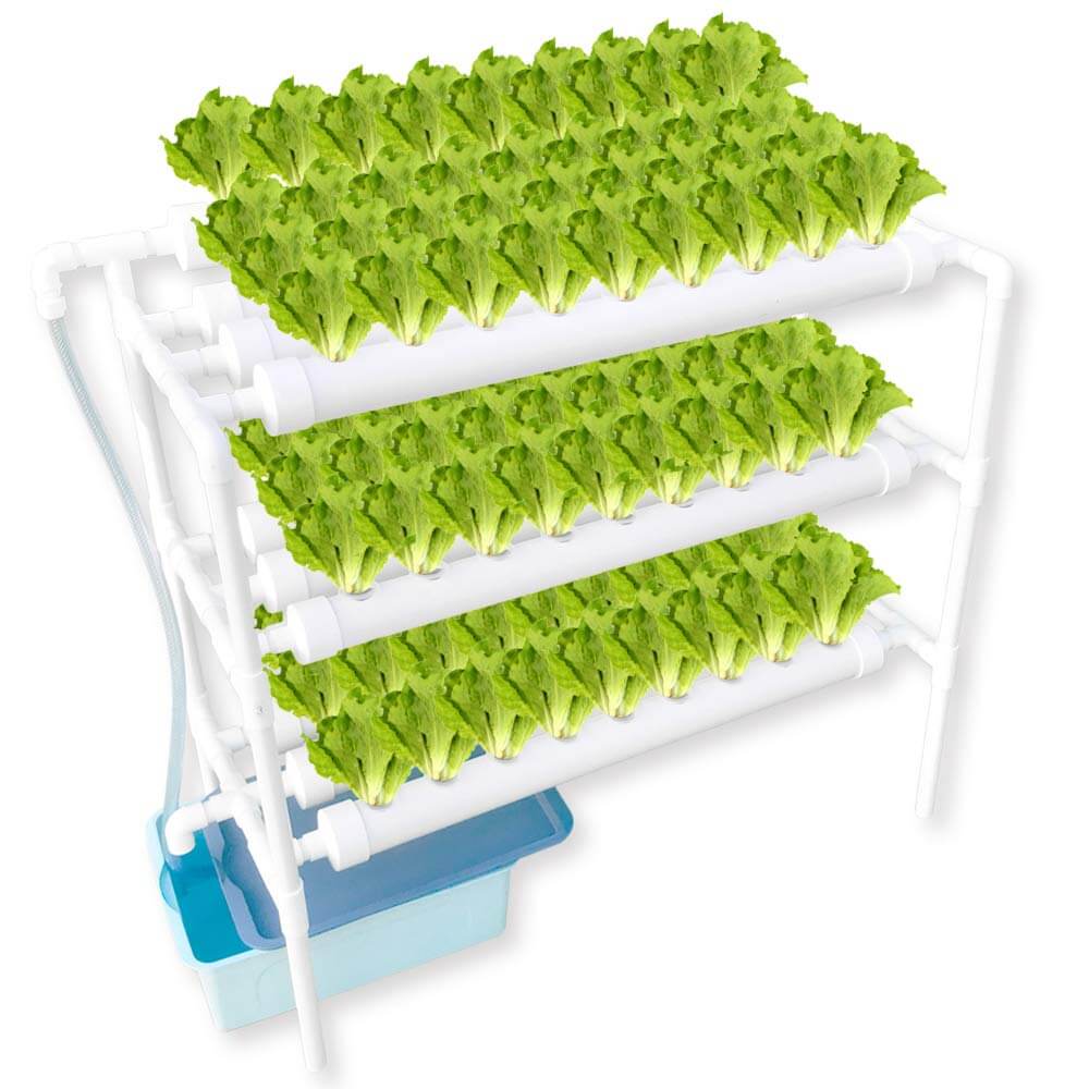 WePlant NFT Hydroponics System