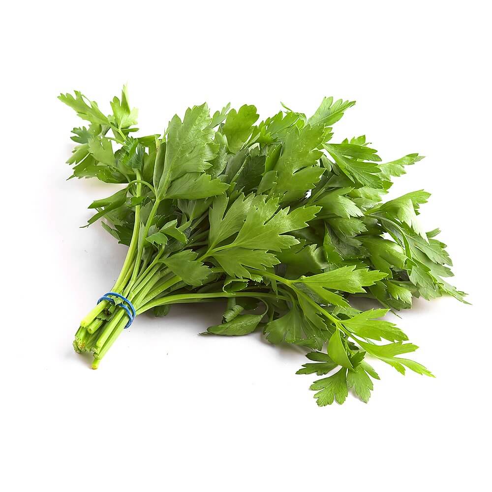 Flat Leaf Parsley