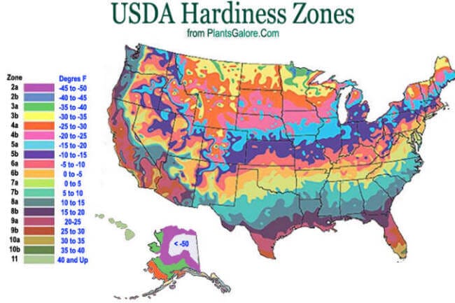 Hardiness Zone Map