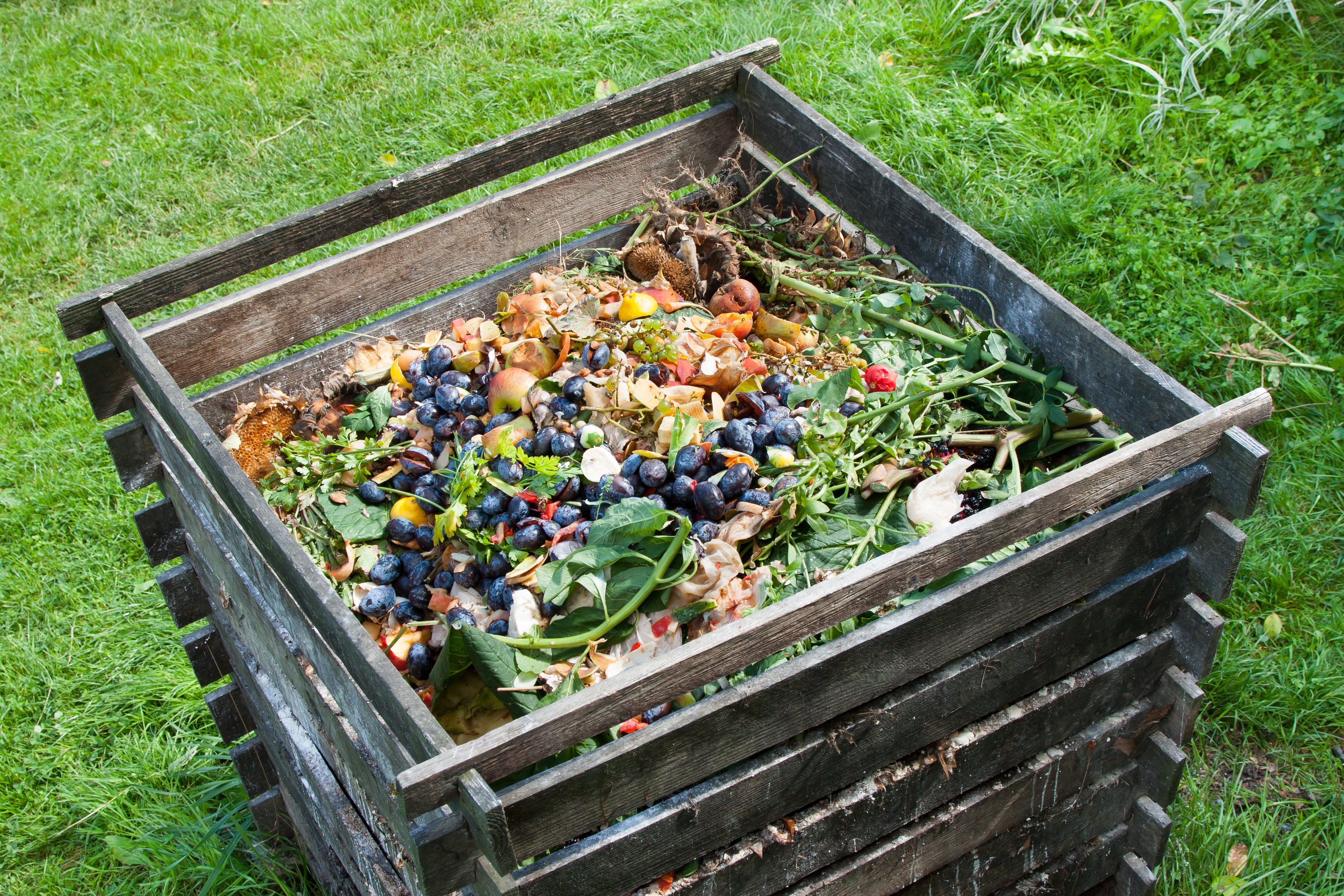 compost bin