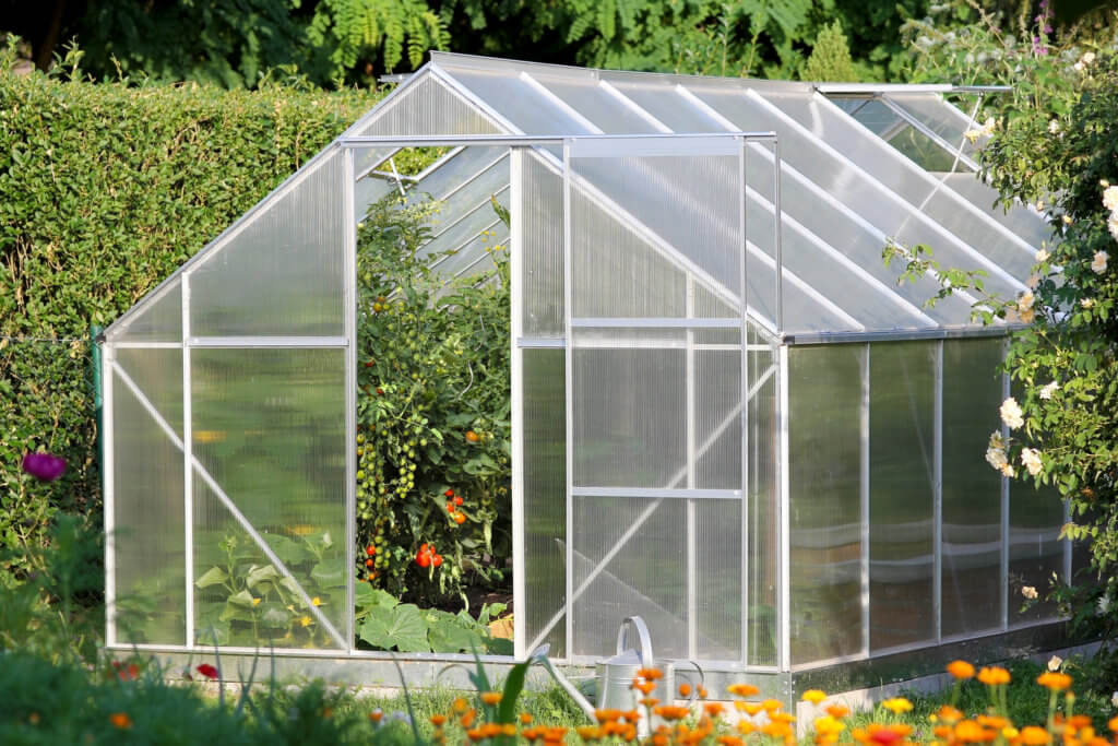 Silver, 6L x 4W x 6H Garden Green House for Plants 6 x 4 FT GRAVFORCE Greenhouse for Outdoor Polycarbonate Walk-in Plant Greenhouse with Window for Winter 