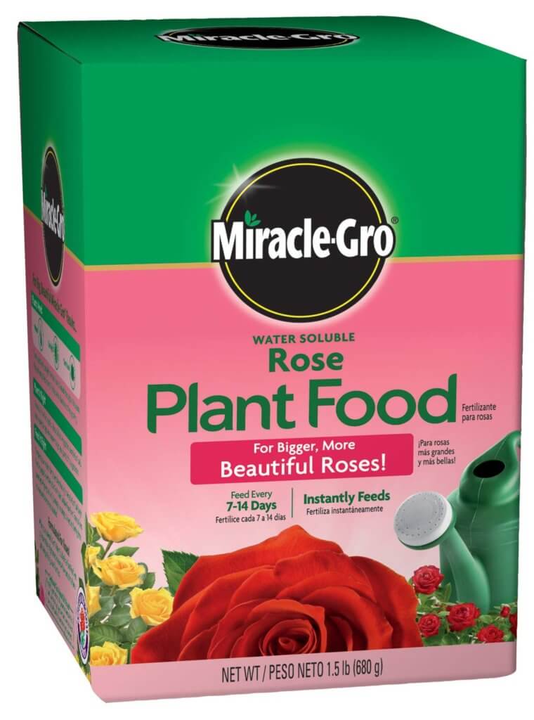 miracle-gro rose plant food