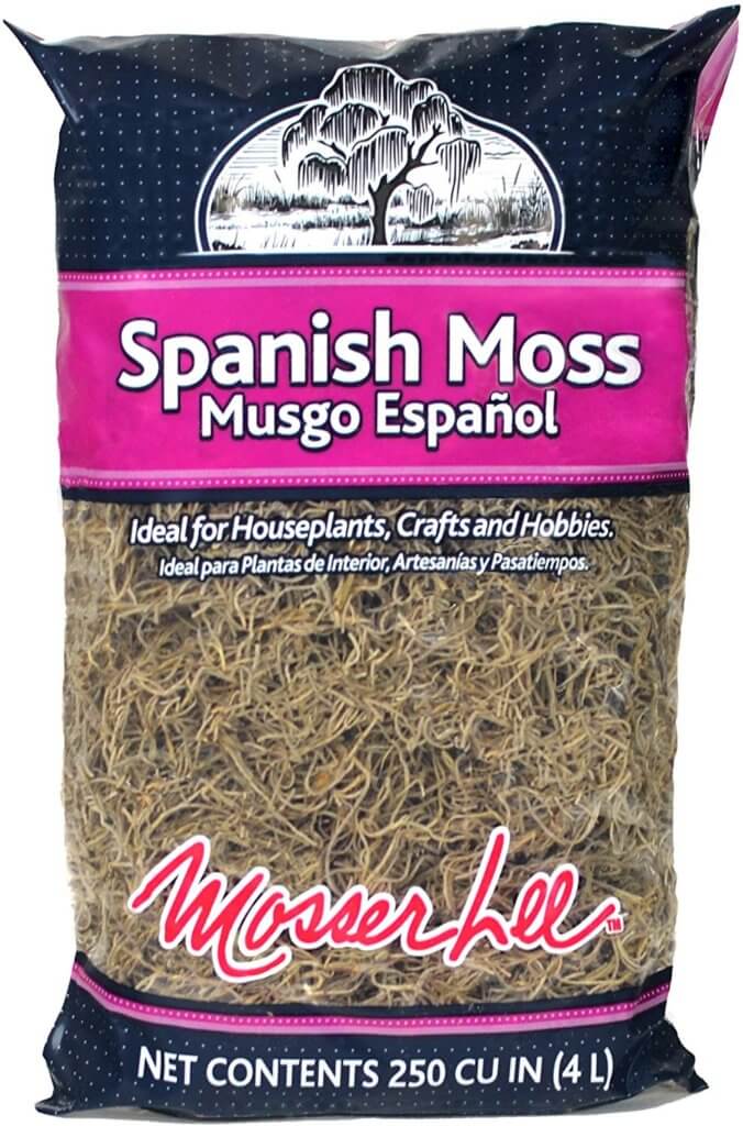 Mosser Lee Spanish Moss