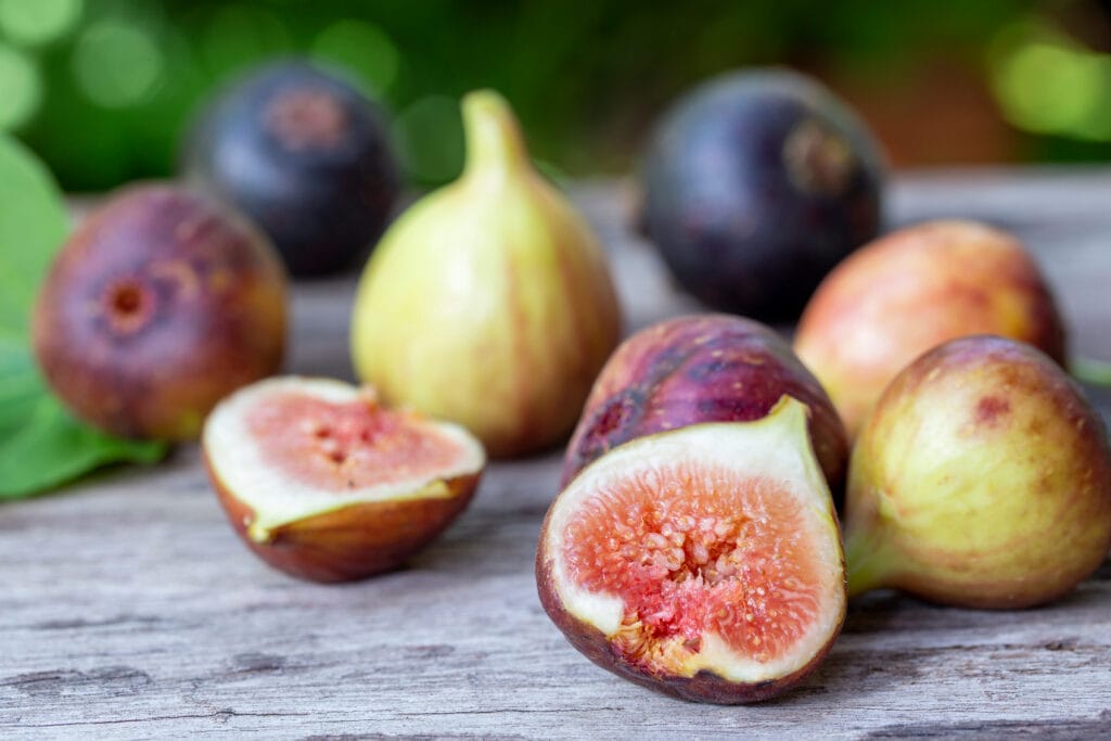 brown turkey fig