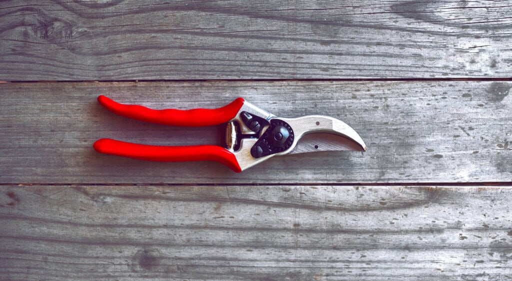 different types of pruning shears
