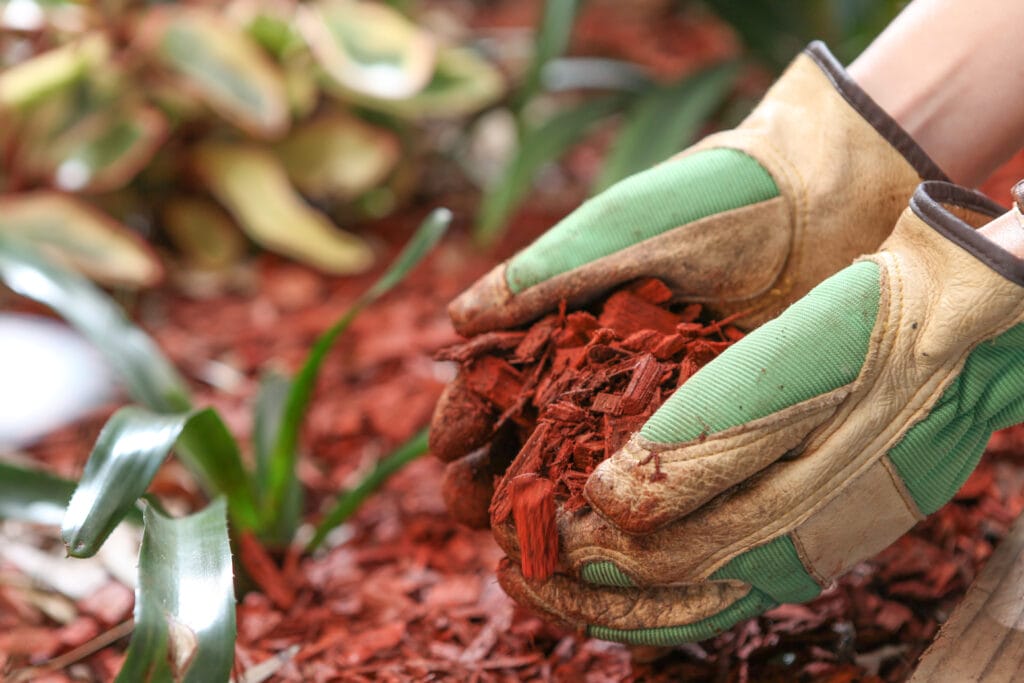 garden mulch 2