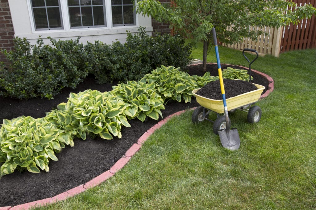 garden mulch 3