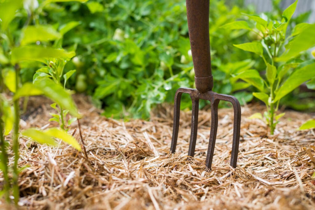 garden mulch 4