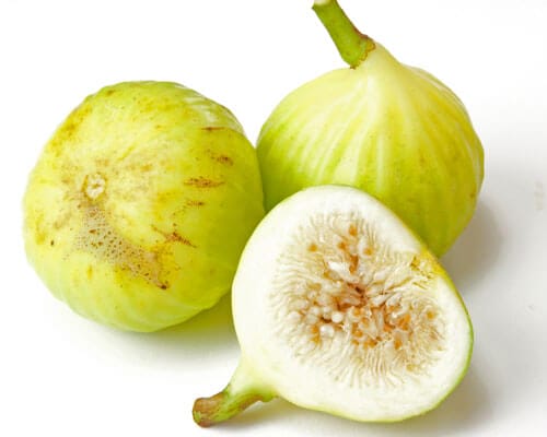 white marseilles fig