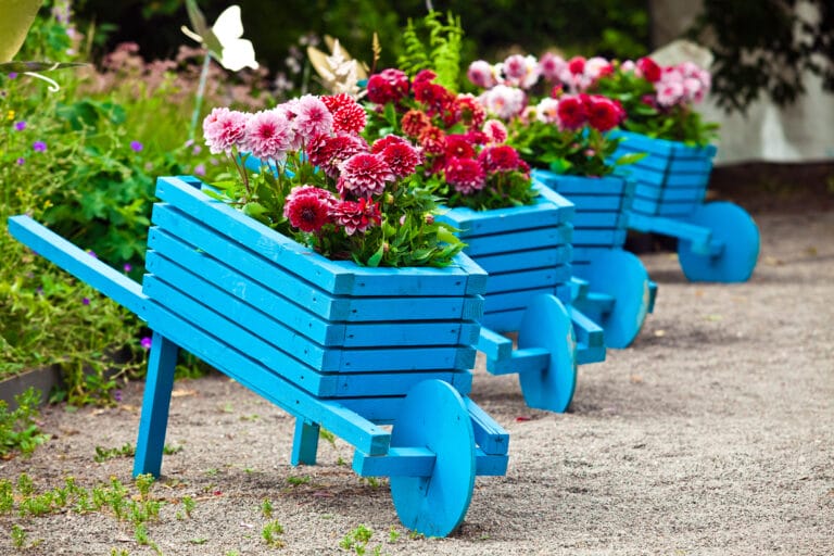 10 Best Garden Planters for ALL Plants The Gardening Dad