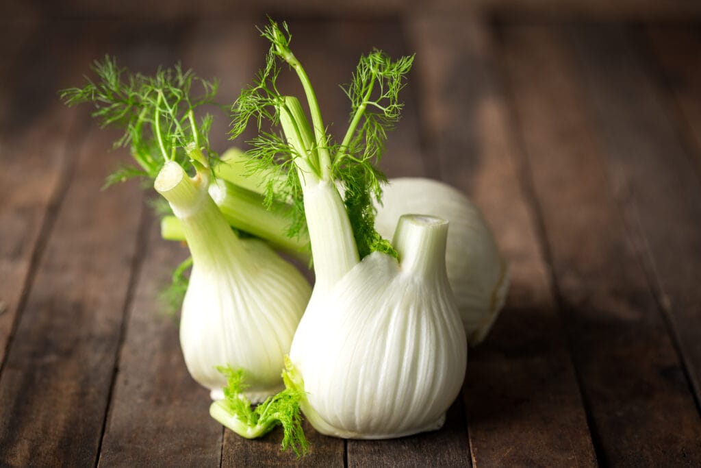 harvested fennel