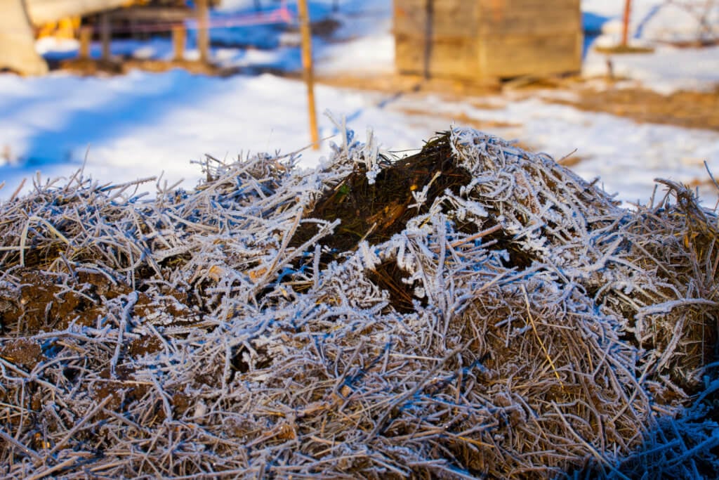 winter composting