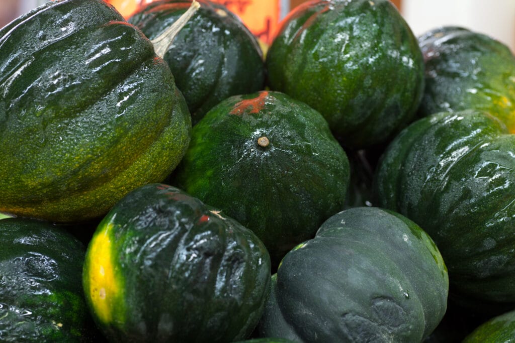 acorn squash growing