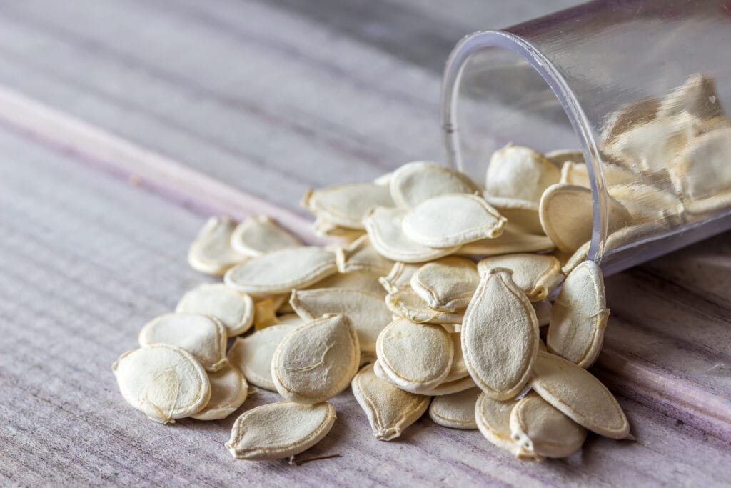 squash seeds