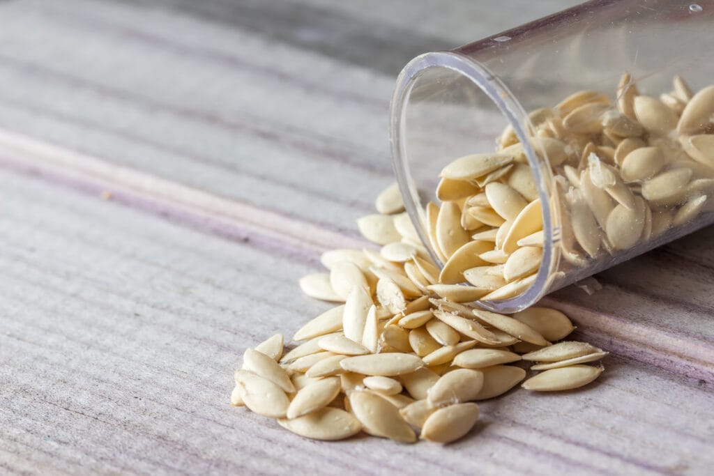 cucumber seeds