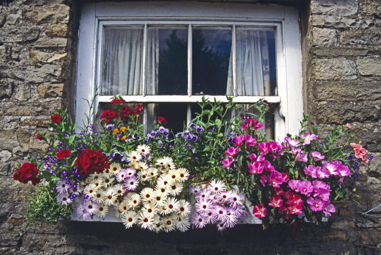 10 Best Window Boxes for Gardeners The Gardening Dad