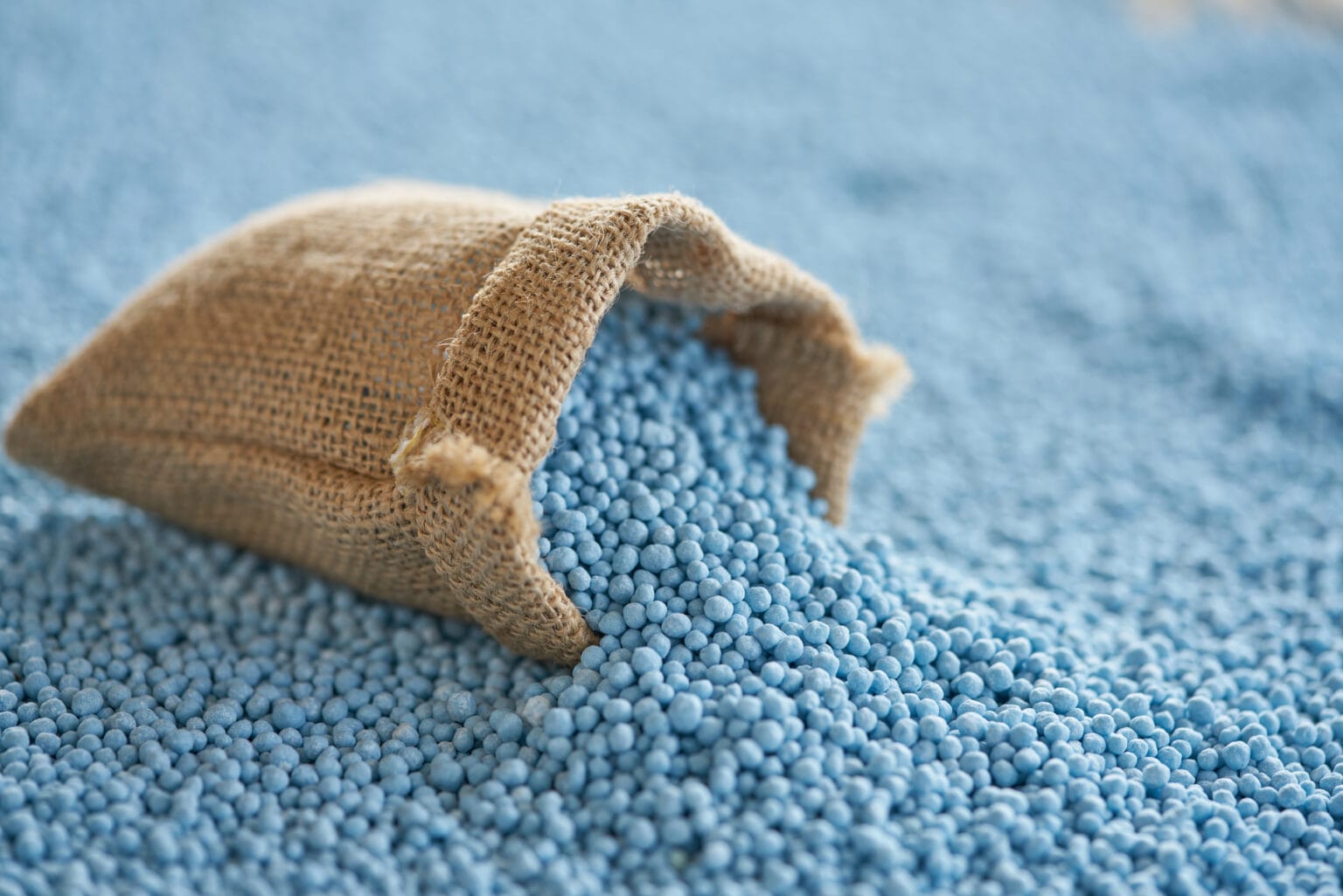 10 Best Liquid Fertilizer For Hydrangeas The Gardening Dad