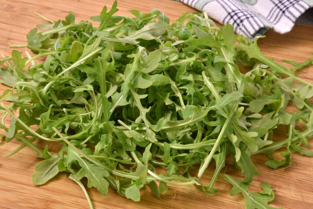 italian cress arugula