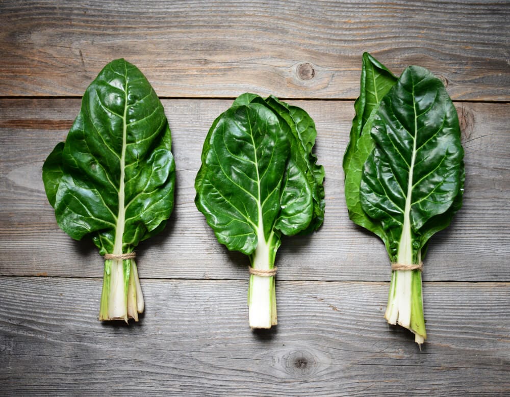 Large White Ribbed Swiss Chard