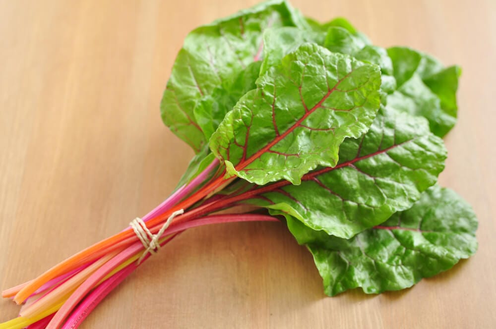 6 Easy Steps How To Harvest Swiss Chard The Gardening Dad