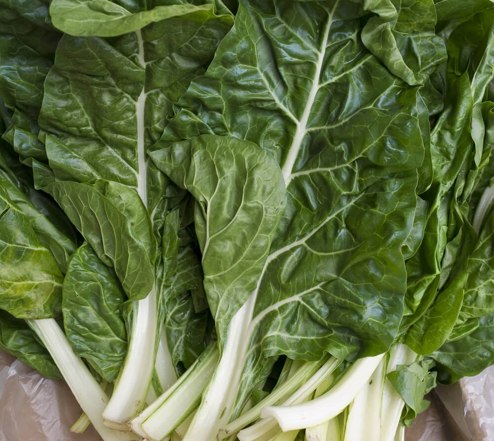 fordhook giant swiss chard