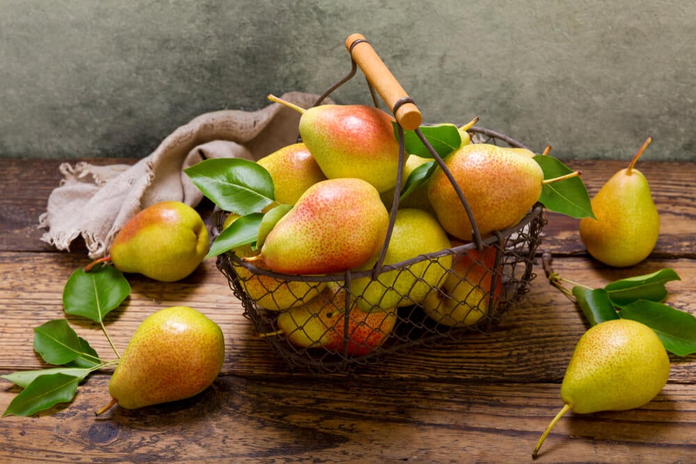 harvested pears