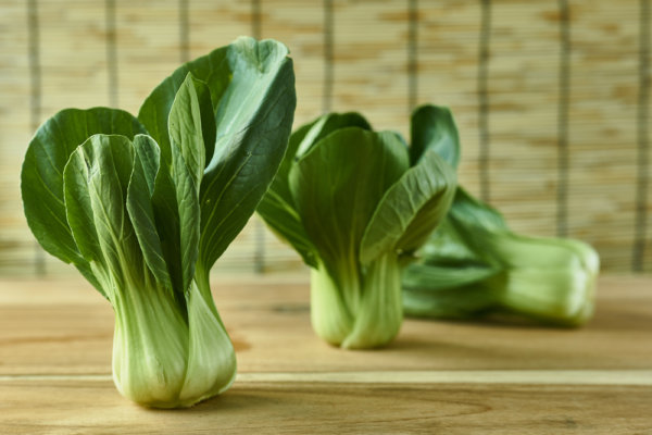 6 Quick Tips How To Grow Bok Choy - The Gardening Dad