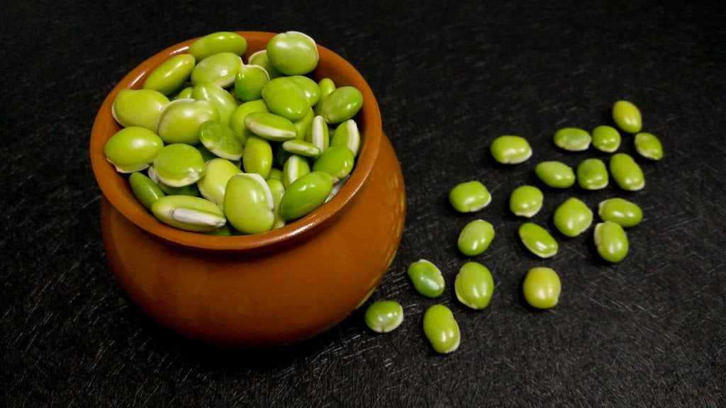 storing lima beans