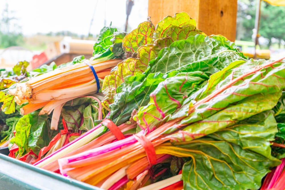 storing swiss chard