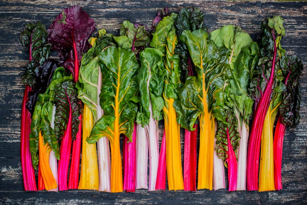 6 Easy Steps How to Harvest Swiss Chard - The Gardening Dad