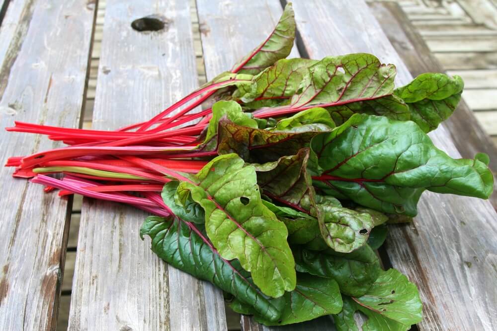 swiss chard