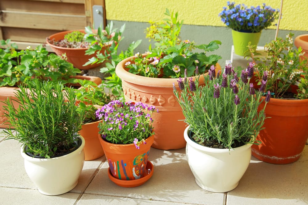 gardening pot