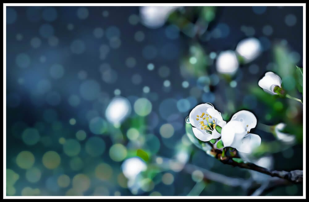 watering snowflakes