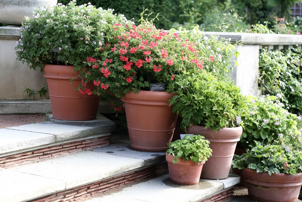 gardening pots