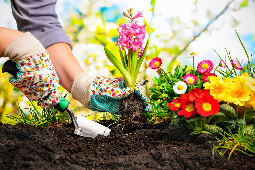 Most Common Gardening Mistakes