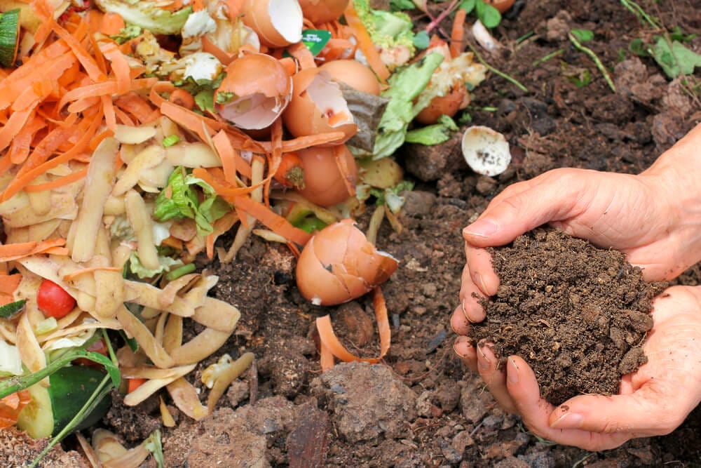 adding compost fall garden cleanup