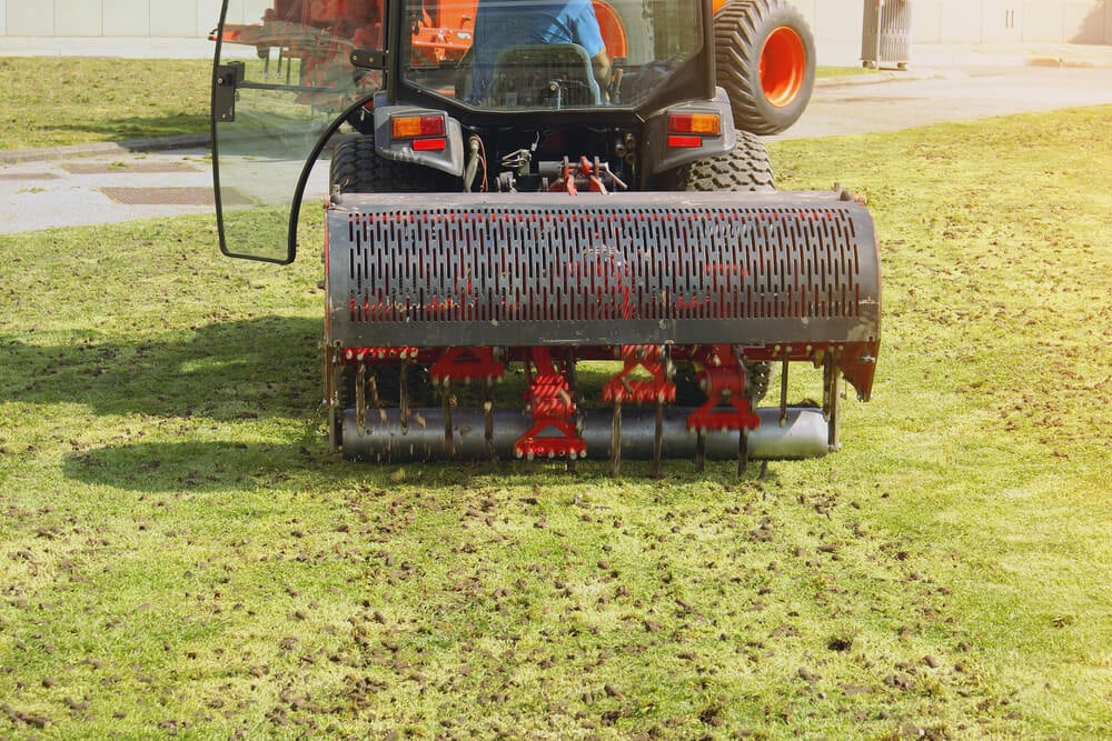 aerate lawn